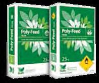 Poly-Citrus 16-7-302 MgO 1000 500 2000 110 70 300 Poly-Olive 15-7-302 MgO 1000 500 150 110 70 4500 Poly-Rice 15-15-30 1000 1500 150 110 70