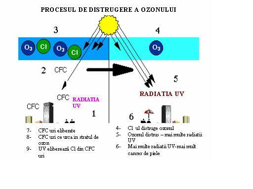 Sursa: www.