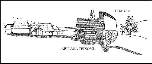 επιφάνεια των αγγείων, σχηματίζοντας ένα πυκνό δίχτυ.