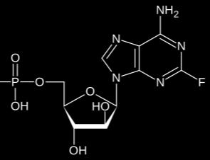 Φθοριοαραβίνη (FAMP) (Εικόνα 13).
