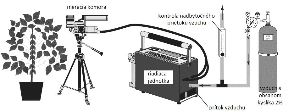 Obr. 4: Schéma merania fotorespirácie gazometrickým systémom 1.5.