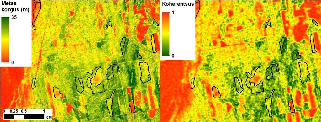 Tulemused: LiDAR vs SAR LiDARi metsa kõrguse mudel (2010.