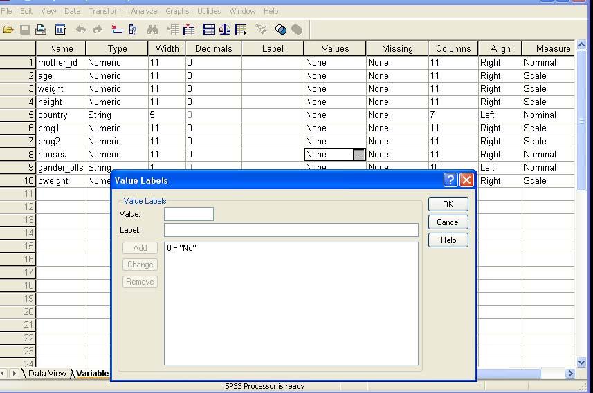 SPSS: Variable View (add labels)