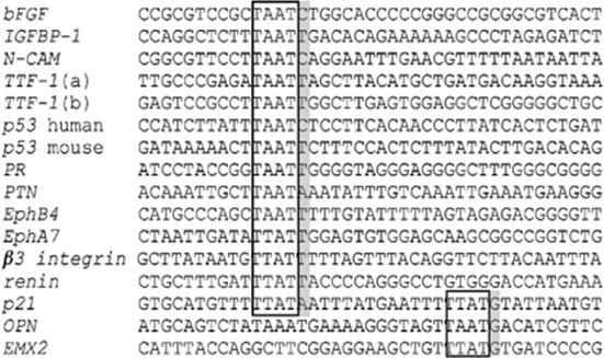 רצף הבקרה ב- DNA מאופיין ע"י משהו שדומה לפאלינדרומים, כל חצי של הפאלינדרום )ב- DNA ( נקשר לאחד מחלבוני הדימר.