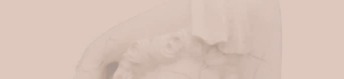Developing a laparoscopic urogynecology service Cutner A.