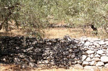 ισχυρές πιέσεις, υπό ειδικές προϋποθέσεις δόμησης και σε άλλες καταπονήσεις, όπως παρουσιάζουν επίσης εξαιρετική αντοχή μέσα στο έδαφος και κάτω από το νερό, τέλος εμφανίζεται απεριόριστη αντοχή στο