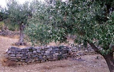 120 είναι η μείωση των οριζόντιων αρμών και η αύξηση των κεκλιμένων αρμών έδρασης, οπότε διαμορφώνονται τάσεις ολίσθησης των
