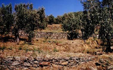 Retaining wall with semicarved masonry (imilaxefti), area of Messolonghi. Εικόνα 5.
