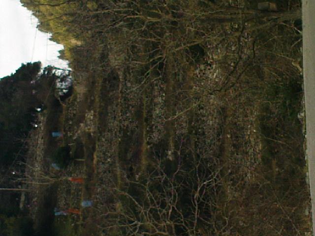 Terraces with trees on top of the embankment Lampiri - Thermo Ait/nias. Εικόνα 18.