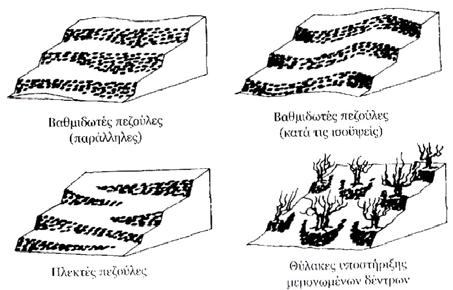 127 Το πρώτο είδος αναβαθμίδας προκύπτει από την οριζόντια επιχωμάτωση κατά στρώσεις μιας πλαγιάς (βαθμιδωτές πεζούλες- είτε είναι σε παράλληλες ευθείες, είτε συνήθως με καμπύλες πλευρές, οι οποίες