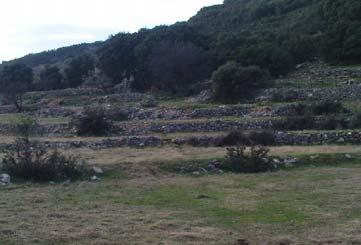 128 Τέλος, ο τρίτος τύπος αναβαθμίδας είναι οι θύλακες υποστήριξης μεμονωμένων δέντρων, δηλαδή