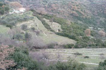 Αναβαθμίδα με οριζόντια επιχωμάτωση σε καλλιέργεια ελιάς στον Πτελεό Μαγνησίας. Figure 21.