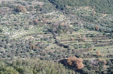 131 Εικόνα 27. Αναβαθμίδες από ξερολιθιές. Figure 27. Terraces made by dry-stone walls.