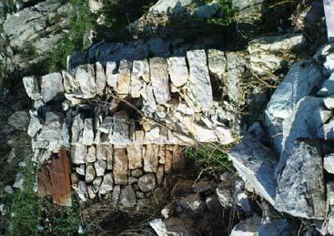 135 εκεί που η βλάστηση είναι λιγοστή και τα εδάφη βραχώδη. Αφθονούν σε μέρη που ήταν ή είναι βοσκότοποι.