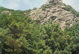 163 Πίνακα V. Συνθήκες βλάστησης, που επικρατούν στη λεκάνη του χειμάρρου Αεροπόταμου. Table V. Conditions vegetation, prevailing in the basin of the river Aeropotamou.