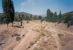 και με την επισήμανση ότι το πλημμυρικό πρόβλημα του Μύριχου εστιαζόταν στη Βλάστη και στην περιοχή του Σισανίου μέχρι την εκβολή του στον Αλιάκμονα.