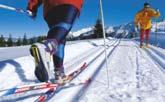 Άνω: Το αγώνισμα του Ανωμάλου δρόμου ή cross country skiing, ή Σκι αντοχής.