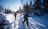 Τhe middle: The sport of jumps and Down: The sport of ski Norwegian or Nordic