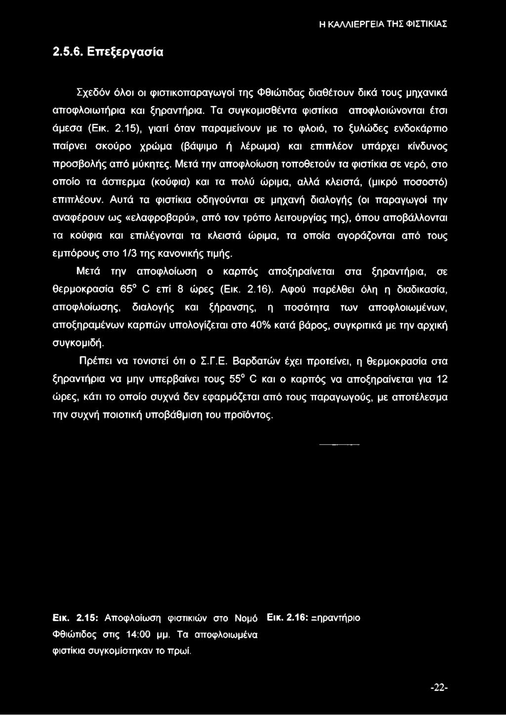 15), γιατί όταν παραμείνουν με το φλοιό, το ξυλώδες ενδοκάρπιο παίρνει σκούρο χρώμα (βάψιμο ή λέρωμα) και επιπλέον υπάρχει κίνδυνος προσβολής από μύκητες.