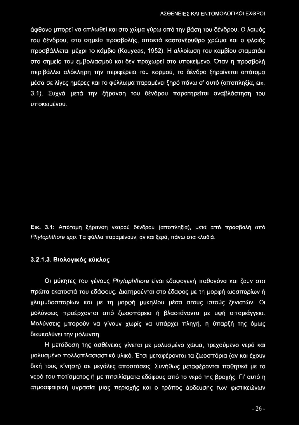 Η αλλοίωση του καμβίου σταματάει στο σημείο του εμβολιασμού και δεν προχωρεί στο υποκείμενο.