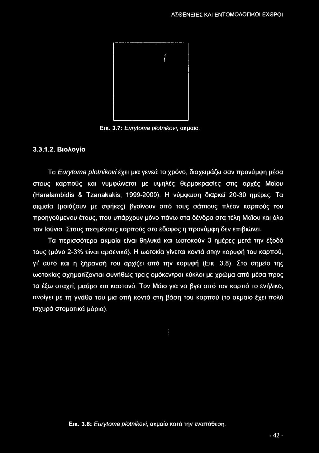 θερμοκρασίες στις αρχές Μάί'ου (ΗαταΙαηΊόίάίε & ΤζαπαΙοΙάε, 1999-2000). Η νύμφωση διαρκεί 20-30 ημέρες.