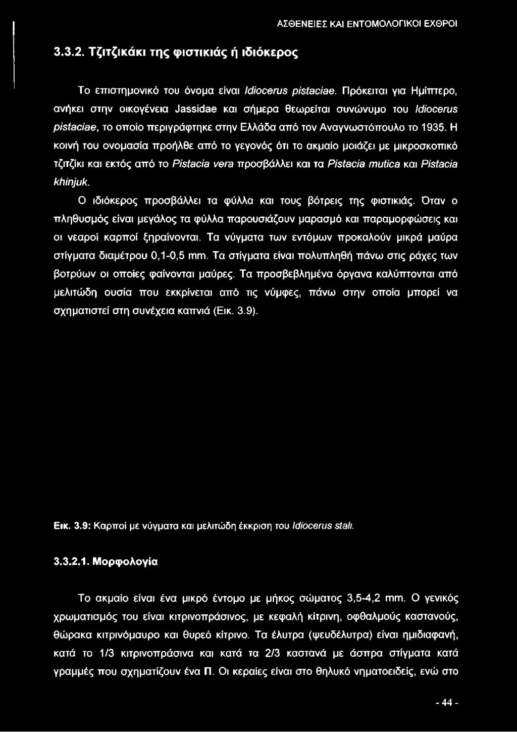 Τα νύγματα των εντόμων προκαλούν μικρά μαύρα στίγματα διαμέτρου 0,1-0,5 mm. Τα στίγματα είναι πολυπληθή πάνω στις ράχες των βοτρύων οι οποίες φαίνονται μαύρες.
