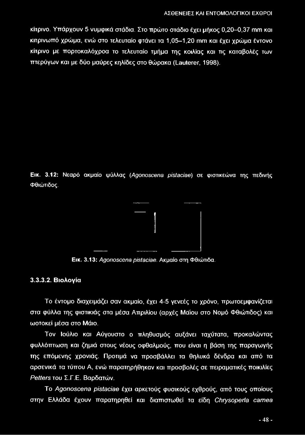 πορτοκαλόχροα το τελευταίο τμήμα της κοιλίας και τις καταβολές των πτερύγων και με δύο μαύρες κηλίδες στο θώρακα (Lauterer, 1998). Εικ. 3.