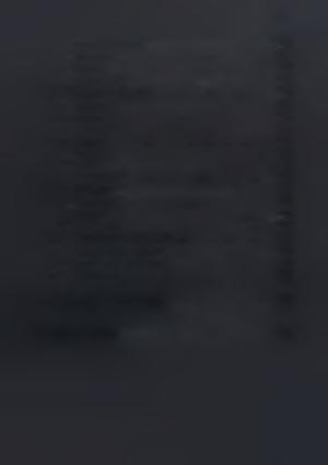 ΠΕΡΙΕΧΟΜΕΝΑ 3.3.3. Ψύλλα της φιστικιάς... 46 3.3.3.1. Μορφολογία...47 3.3.3.2. Βιολογία... 48 3.3.3.3. Καταπολέμηση... 49 3.3.4. Σκολύτης της φιστικιάς... 50 3.3.4.1. Μορφολογία...51 3.
