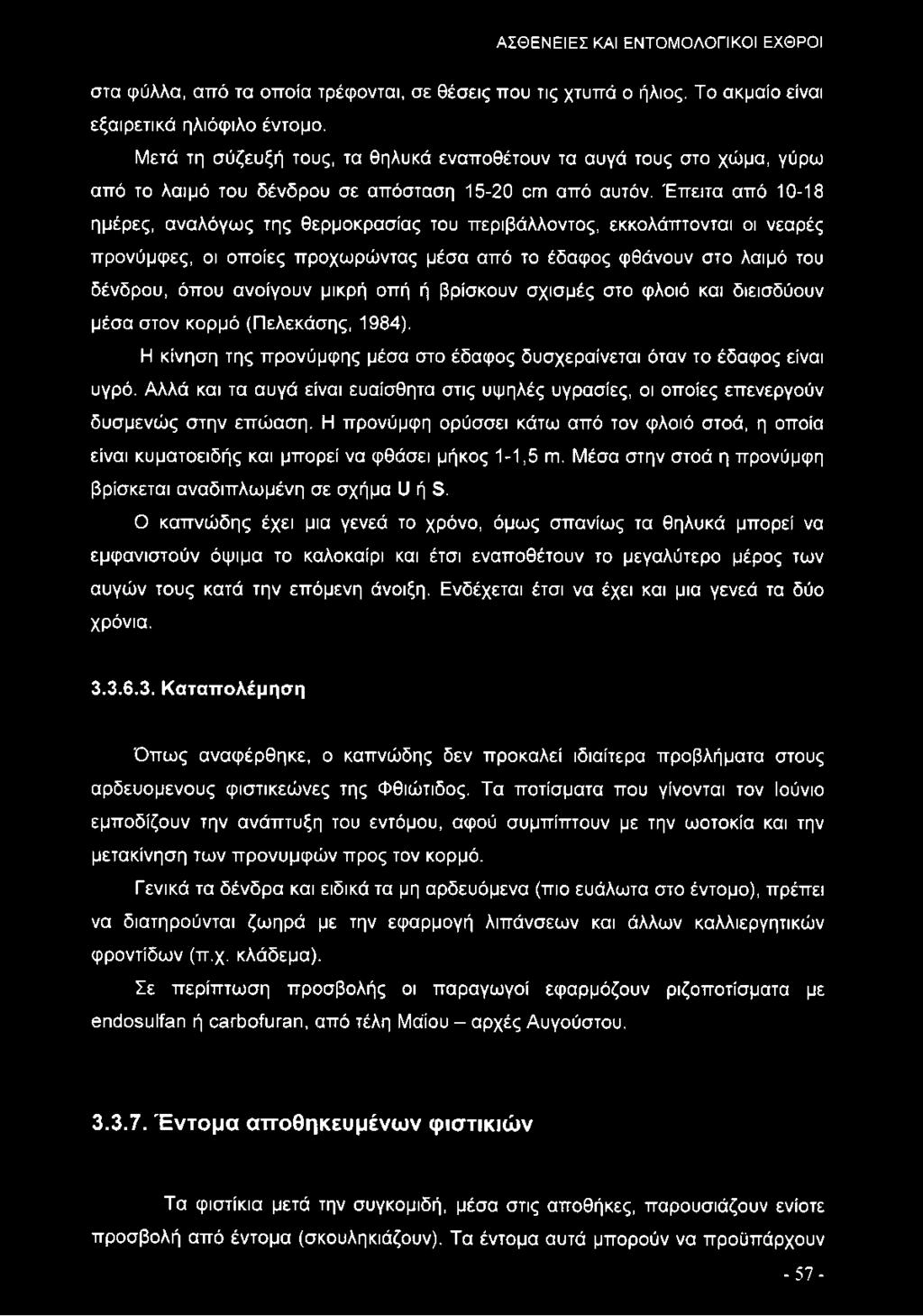 Έπειτα από 10-18 ημέρες, αναλόγως της θερμοκρασίας του περιβάλλοντος, εκκολάπτονται οι νεαρές προνύμφες, οι οποίες προχωρώντας μέσα από το έδαφος φθάνουν στο λαιμό του δένδρου, όπου ανοίγουν μικρή