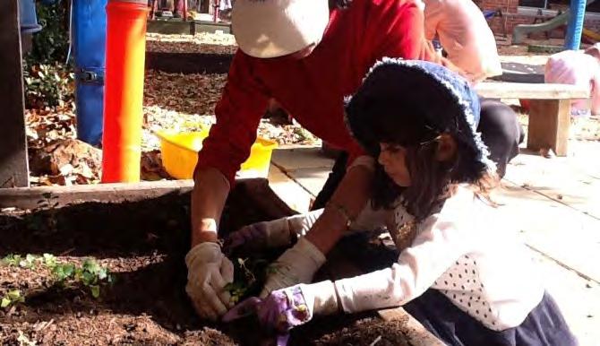children as they learn about the biological cycles.