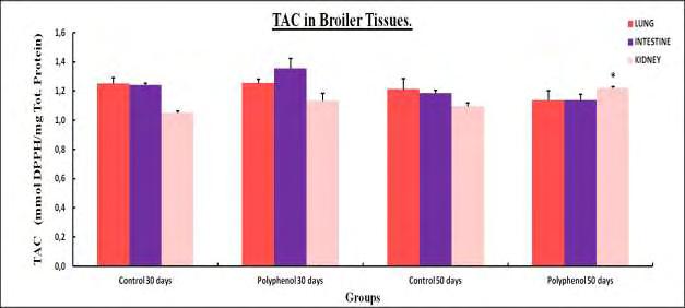 3.3 Ολική Αντιοξειδωτική Iκανότητα (TAC). TAC ΠΝΕΥΜΟΝΑΣ TAC ΕΝΤΕΡΟ TAC ΝΕΦΡΟ GROUP M.O S.