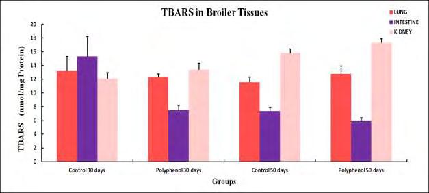 3.4. Υπεροξείδωση Λιπιδίων (TBARS) TBARS ΠΝΕΥΜΟΝΑΣ TBARS ΕΝΤΕΡΟ TBARS ΝΕΦΡΟ GROUP M.O S.