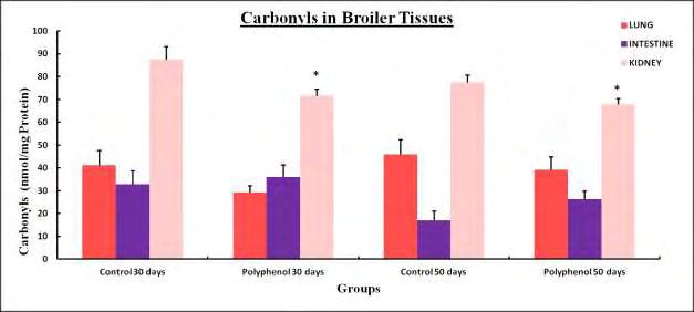 3.5 Πρωτεϊνικά Kαρβονύλια CARBONYLS ΠΝΕΥΜΟΝΑΣ CARBONYLS ΕΝΤΕΡΟ CARBONYLS ΝΕΦΡΟ GROUP M.O S.