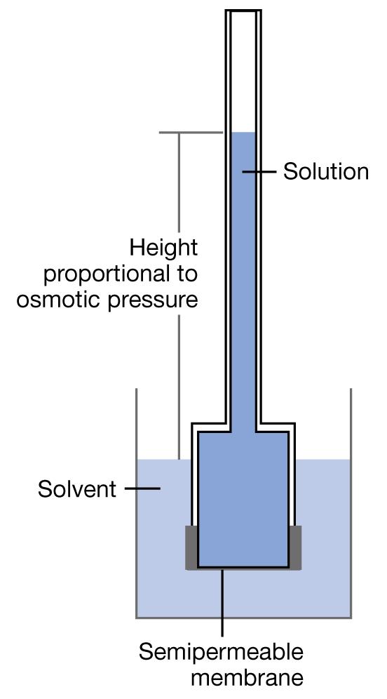 משני צידי בפוטנציאל משקל על ניתן דלילות הלחץ האוסמוטי, Π, בתמיסות לכן, בספר)