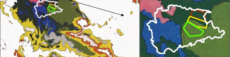 5 Οικολογική αξία και καθεστώς προστασίας της περιοχής Η χλωρίδα του περιοχής παρουσιάζει έντονη ποικιλομορφία και περιλαμβάνει