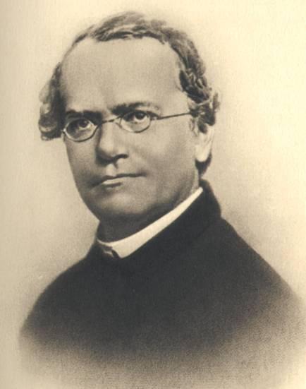 Gregor Johann Mendel je oče