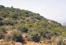 שיטות המחקר כללי המחקר התבצע בשנים 1994-1991.