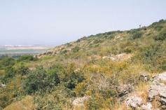 אזור המחקר המחקר נערך ברמת הנדיב, בערוץ נחל הנדיב, היורד מן הכרמל לכיוון מערב. כל המדידות בוצעו על פני שני המדרונות המנוגדים של הערוץ: המפנה הצפוני והמפנה הדרומי.
