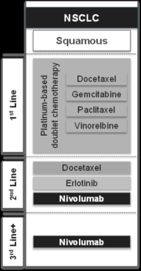 3.8.5.1 Nivolumab Οι ασθενείς με NSCLC των πλακωδών κυττάρων έχουν χειρότερη πρόγνωση και λιγότερες θεραπευτικές επιλογές από άλλες ιστολογίες.