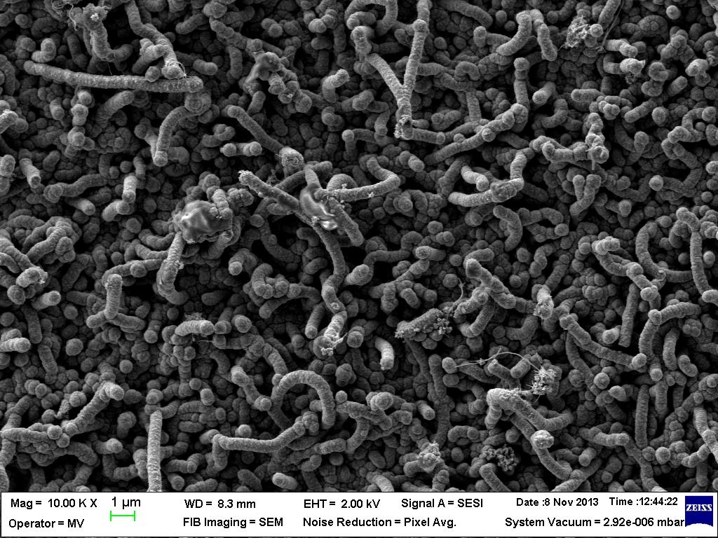 polimer - CNT/CNF Rezultate obtinute: Material electroactiv