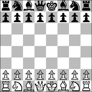 המשחק מתנהל על לוח 8x8. לכל שחקן יש 16 כלי משחק שמיקומם בתחילת המשחק קבוע. המשחק מתנהל בתורות, כאשר השחקן הלבן ראשון. לכל סוג של כלי יש מספר מהלכים חוקיים סופי.