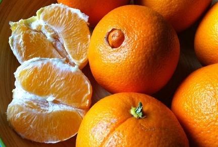 Viac ako 70 odrôd pomarančovníkov rôzny tvar, aróma, chuť (cukry vs.