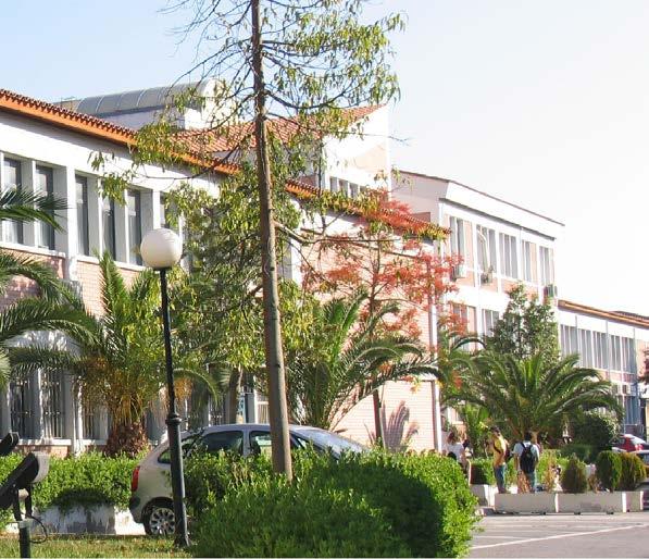 μέλους του Ευρωπαϊκού Γραφείου Κύπρου.