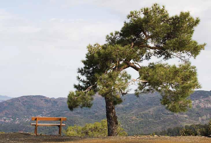 Επίσης, η περιοχή προσφέρεται για ψάρεμα σε υδατοφράκτη και για σκι τους χειμερινούς μήνες.