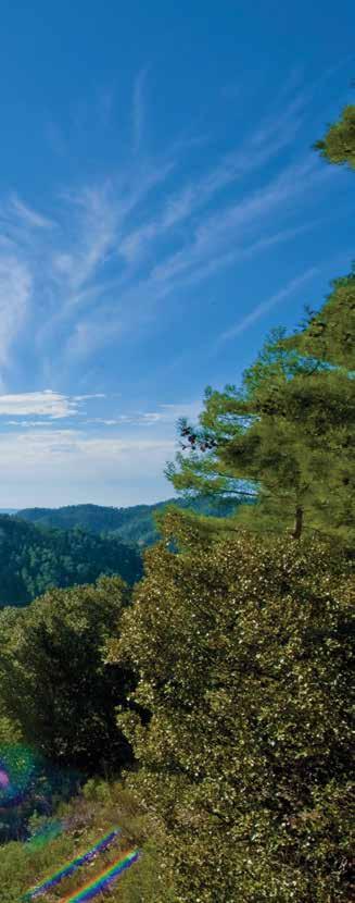 Τι είναι το EDEN Το EDEN-European Destinations of Excellence (Άριστοι Ευρωπαϊκοί Προορισμοί) είναι ένα Έργο που προάγει τα μοντέλα ανάπτυξης βιώσιμου τουρισμού σε ολόκληρη την Ευρωπαϊκή Ένωση.