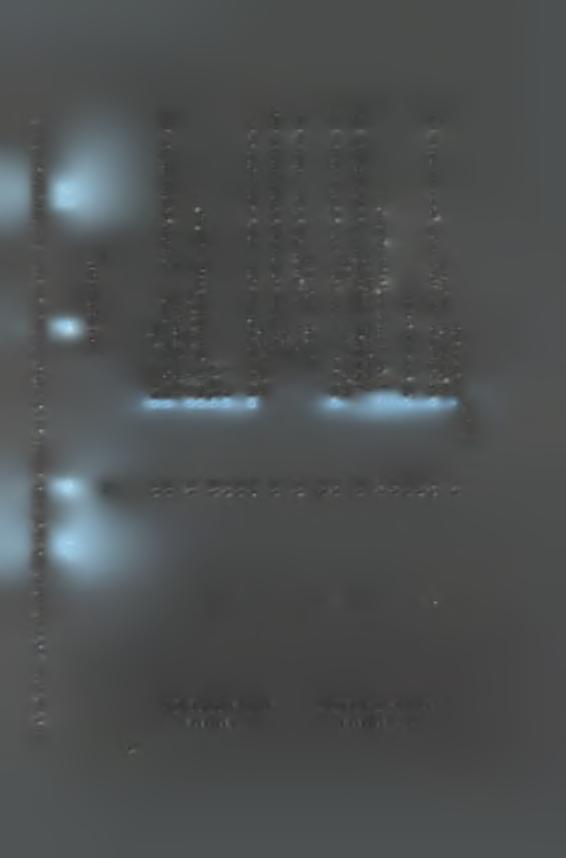 I x 2 u fd fd 2 S * fd fd s 1 x 4 * x g Cl ft. 3 W δ \AP 2 * VWM Ql A 1ε s x s ft. x 1 c «2 EL W ft. 3 δ fj P Z ε P n M ft.