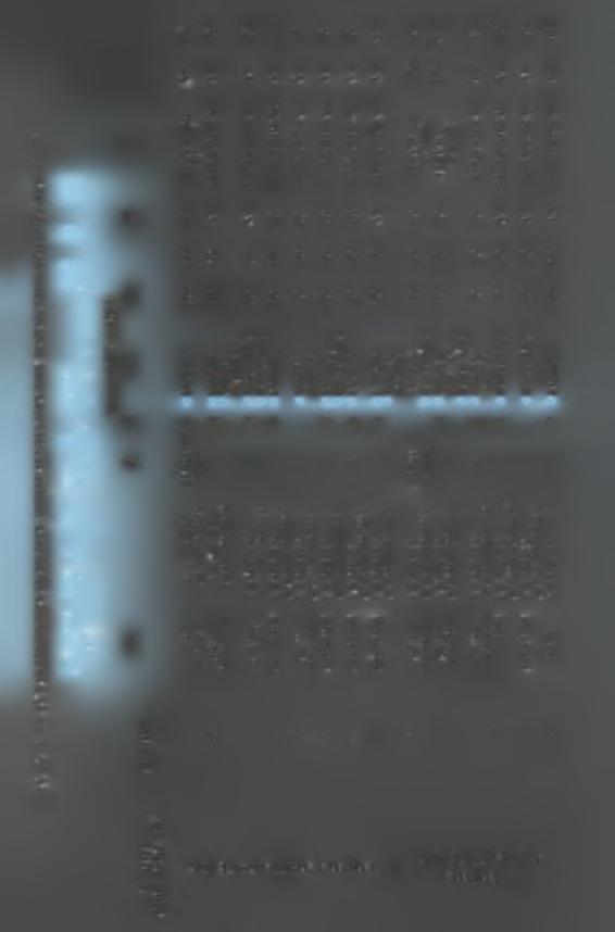 s k- ω ί W ft, > y IT) I ω ϊγ" s kl ω A > ω S n W. UJ i-1 > x uj r 2 UJ n UJ > nuj UJ 2 2 y MM y ft ft ft. Cu r A A ft E Qm ft ft I C! ci ui y ft G 2 >: x JJ ft ^ 2 α 5: *.