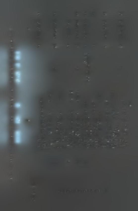 Ζ Η Ο Ξ ω Ζ h Ε 3 2 S - Ο- tr Jr t- u ϊ5ί 3 5 1 U 3 VO α.