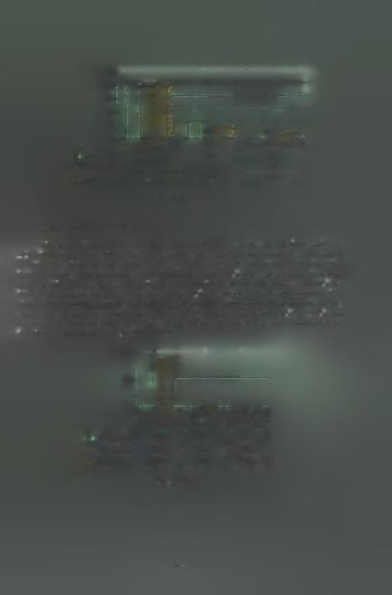100-, 80-60- Ft jo.-'-h f c> s Ναι Όχι Καμία Απάντηση Ι Τμήμα 75 25 0 2 Τμήμα 80 10 10 Σύνλ 77,8 16,7 5,6 Διάγραμμα 11 10.