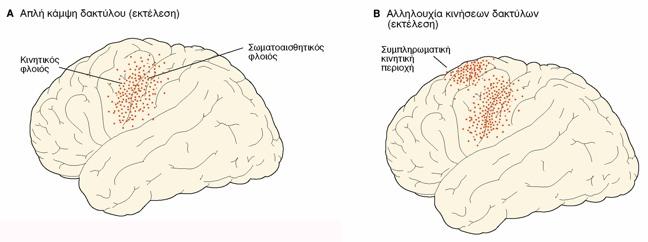 Αυξημένη ροή αίματος